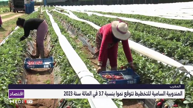 النشرة الاقتصادية - 18/07/2022