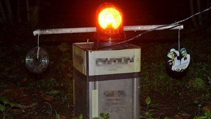 Fındık bahçesine dadanan domuzlardan böyle kurtuldu