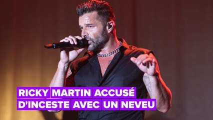 Le neveu de Ricky Martin l'accusant d'inceste a apparemment des "problèmes mentaux"