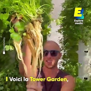 Ces jardins verticaux permettent de cultiver des légumes chez soi