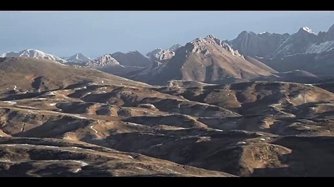 La panthère des neiges - 18 juillet