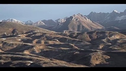 La panthère des neiges - 18 juillet