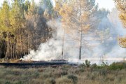 Son dakika: Fransa ve İspanya'da orman yangınlarıyla mücadele devam ediyor