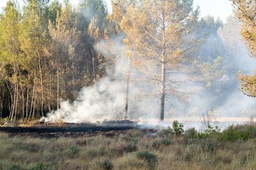 Son dakika: Fransa ve İspanya'da orman yangınlarıyla mücadele devam ediyor