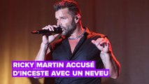 Le neveu de Ricky Martin l'accusant d'inceste a apparemment des 