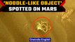 NASA's Perseverance rover spots noodle-like object on Mars | Oneindia news *Space