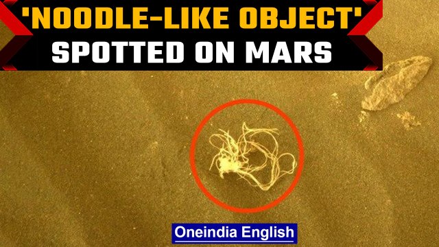 NASA's Perseverance rover spots noodle-like object on Mars | Oneindia news *Space