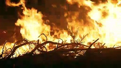 Incendies en Gironde: des feux tactiques pour contenir les flammes
