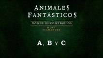 Animales fantásticos y dónde encontrarlos (02: A, B y C) - Audiolibro en Castellano