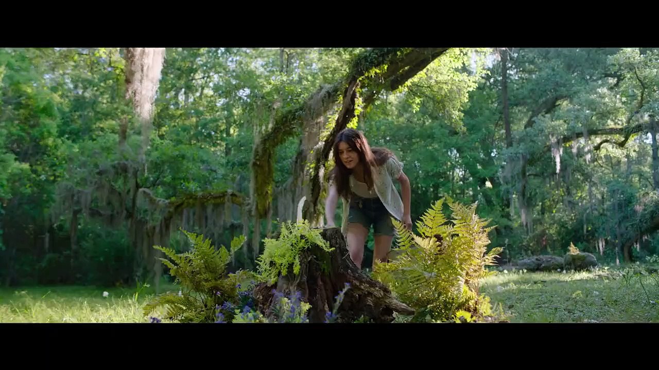 La bande annonce du film "Là où chantent les écrevisses"