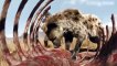 Aboriginal People Robbed Wild Dogs, Leopards, Hunted Lions ► Wild Animals Battle For Survival