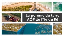 Un produit, un territoire : la pomme de terre primeur AOP de l'île de Ré