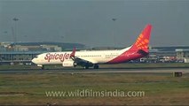 Spicejet plane taxiing off from tarmac at Delhi airport