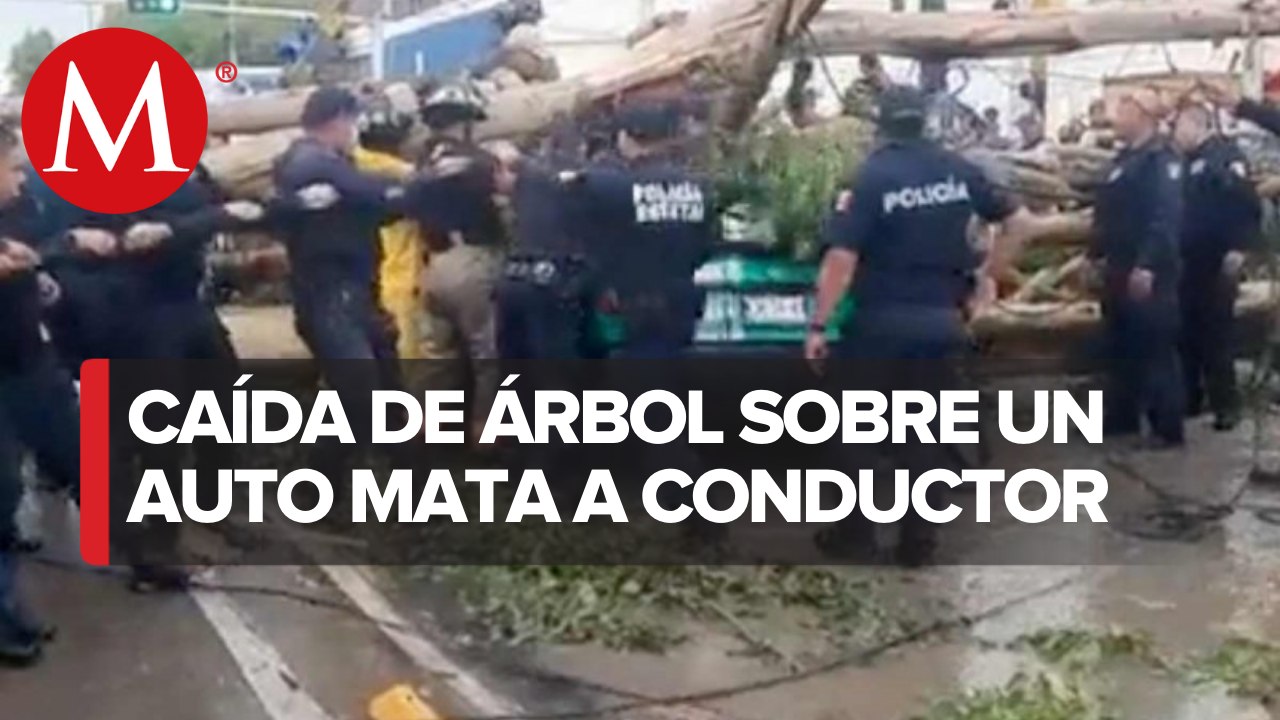 Cae árbol sobre un vehículo en Ecatepec; un hom...