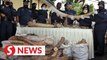 Customs seizes six tonnes of raw ivory, biggest bust so far