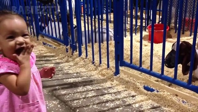 Ces bébés mignons feront fondre votre coeur - bébés drôles riant à la compilation d'ANIMAUX