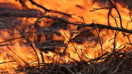 Flammeninferno im Nationalpark Sächsische Schweiz
