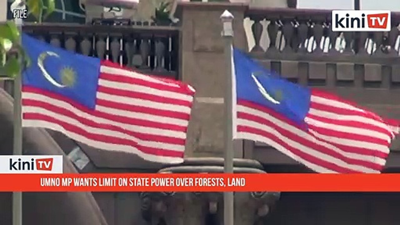 Umno MP wants limit on state power over forests, land