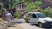 Kadıköy'de devrilen ağaç seyir halindeki aracın üzerine düştü