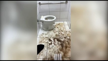 Usuários reclamam de "porquice" no Terminal de Transbordo Oeste