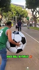 Last DOG is LEGENDARY!  HUGE Ball Reactions!  #shorts