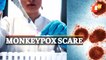 India Reports Second Confirmed Case Of Monkeypox