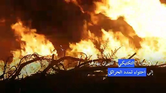 فرق الإطفاء الفرنسية تحاول محاصرة حرائق الغابات