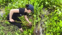 Survival Fishing With Lobster vs. 55KG Giant Arowana Fish