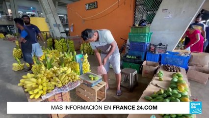 Un 22% de la población en Sri Lanka necesitaría ayuda alimentaria