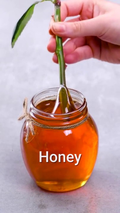 Grow Your Roses With This Hack \\ Shorts