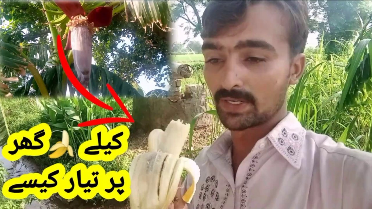 kabhi hath se lagaya hath se khaya hai
