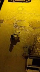 ÇALDIĞI TELEVİZYONU NAYLONLA GİZLEYİP, EL ARABASIYLA TAŞIDI