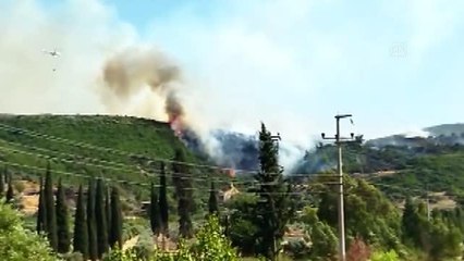Söke'de çıkan orman yangınına müdahale ediliyor