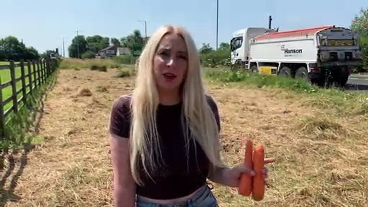 Lancashire Post reporter Emma Downey on the trail of the horse