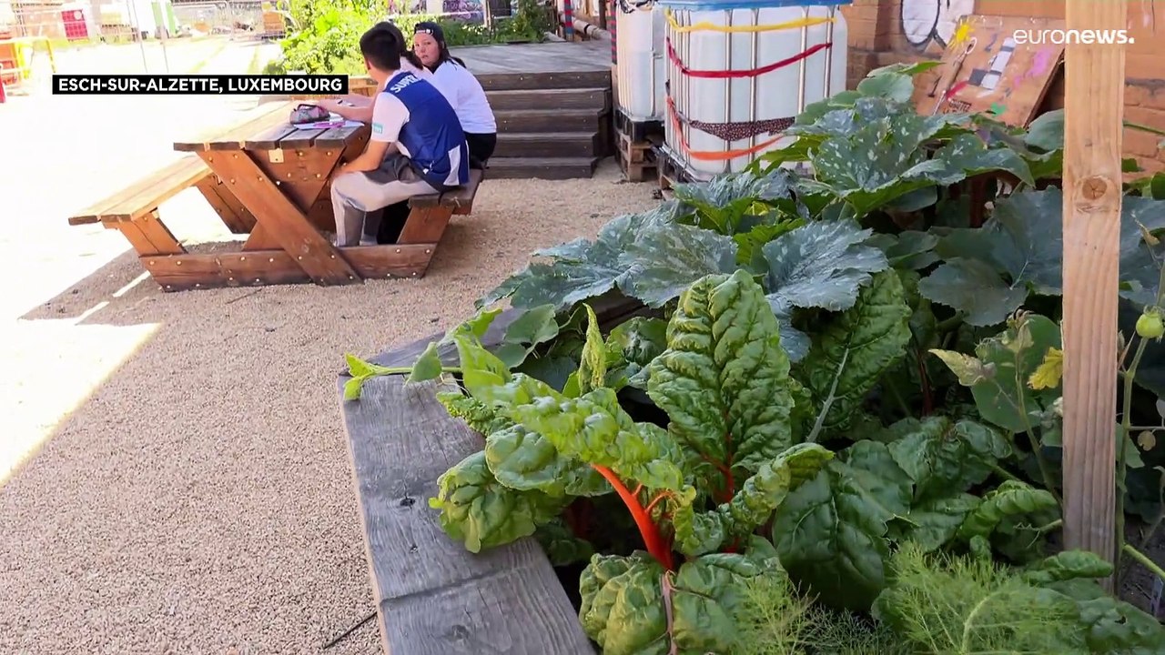 A Esch, au Luxembourg, des lieux culturels alternatifs dans d'anciens bâtiments industriels