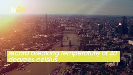 London Penguins Lay Low As UK Temperatures Soar