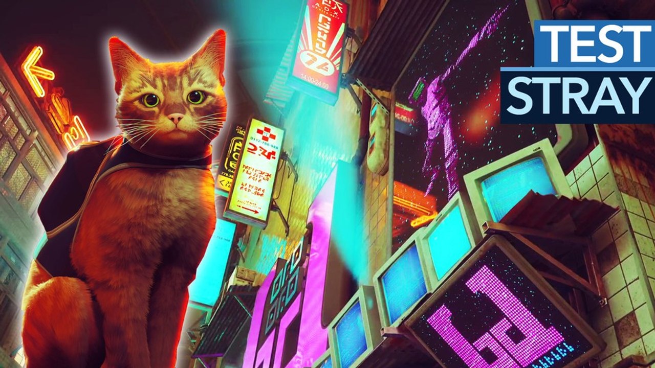 Stray ist wirklich eines der schönsten spiele des jahres - und auch noch richtig gut