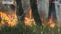 بدون تعليق: رجال الإطفاء يكافحون حرائق الغابات في منطقة جيروند بجنوب غرب فرنسا