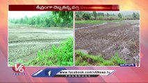 Incessant Rains Cause Huge Loss To Cotton Farmers _ Adilabad  | V6 News