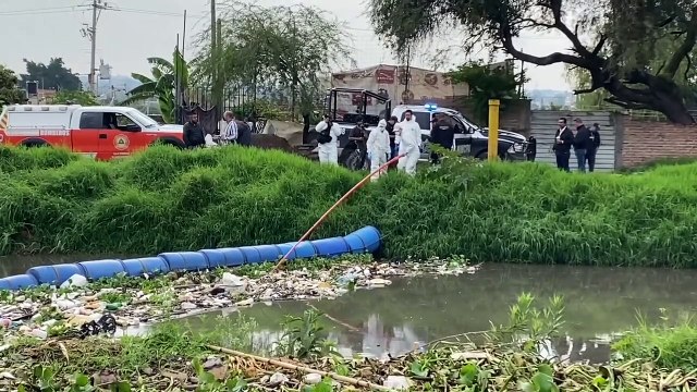 Resumen de inseguridad: Al menos cuatro personas fueron asesinadas durante el fin de semana