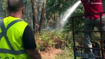Spanien verzeichnet zweites Todesopfer bei Waldbränden