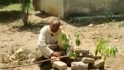 Good news: Meet the man who has planted thousands of trees in UP's Banda district