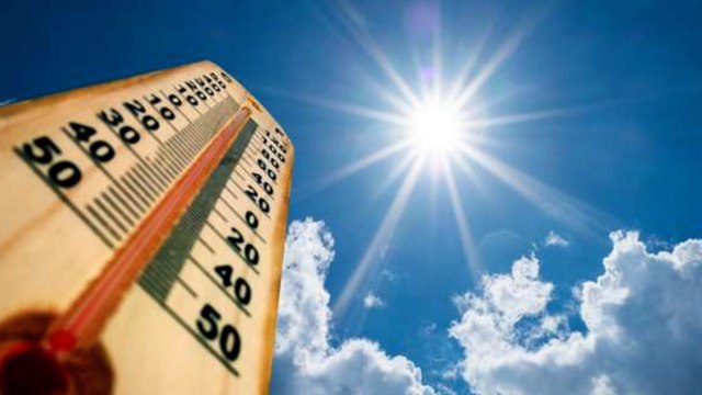 Red weather warning put in place in Kent with temperatures almost reaching 40 degrees