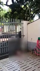 'Maníaco do Alvorada' é preso após ser flagrado se masturbando na frente de crianças