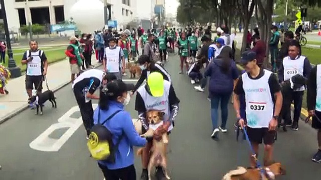 'Mascotón' in Peru: Hunde laufen mit ihren Menschen durch Lima