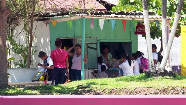 Padrón y Licencias actualizará registro de comercios | CPS Noticias Puerto Vallarta