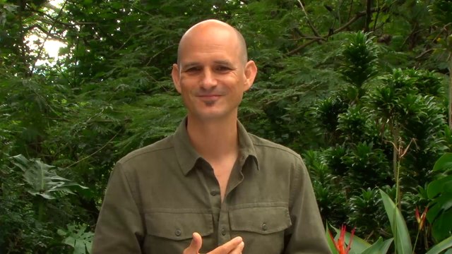 ext-arboles-de-costa-rica-en-berlin-180722