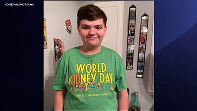 Donación de órganos