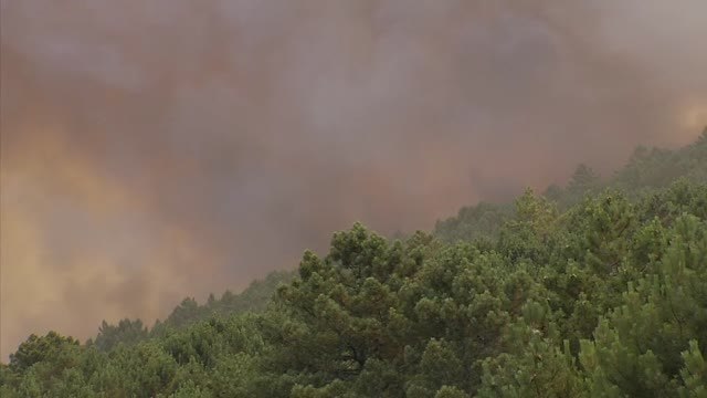 Felipe VI visita las zonas afectadas por los incendios en Extremadura