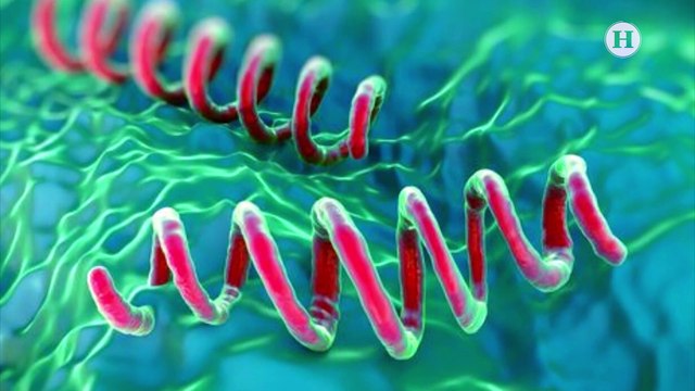 Mujeres son las más afectadas por la sífilis en México